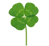 南宁市群众艺术馆疫情期间开放免费教室预约流程及要求