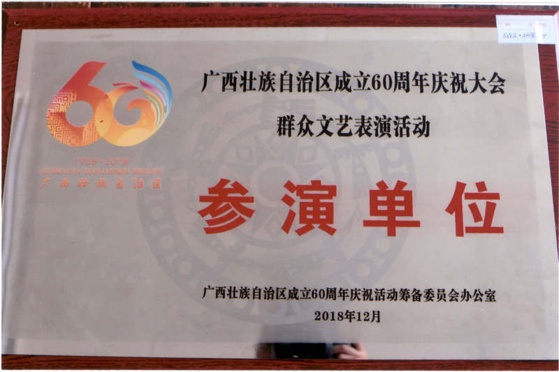 2018.12 广西壮族自治区成立60周年庆祝大会群众文艺表演活动 参演单位.jpg
