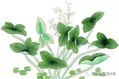 春风携手 文化暖心 ——南宁市群众艺术馆“文化志愿春风行”培训服务有声有色