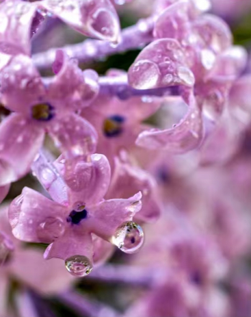 “发现·两城之春”——2024年南宁·哈尔滨摄影作品联展火热进行中