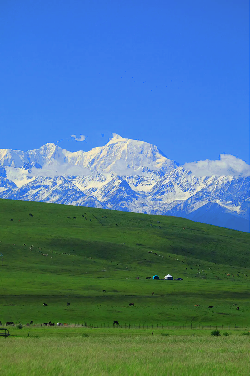 展讯 ▏探索公共文化空间创意表达，以新锐设计共绘精彩未来！