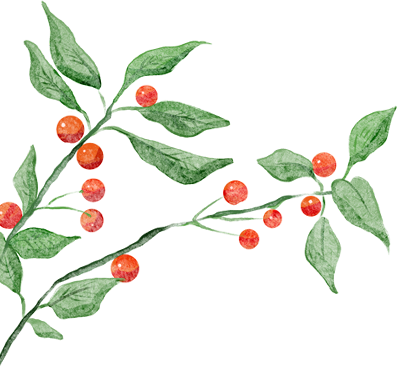 南宁人速看！“与明星同唱”百姓歌圩喊你上舞台，免费培训+同台演出机会来啦，全民艺术普及再添新活力！